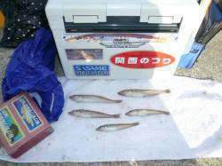 佐野　気温1度の中での投げ釣りでキス狙い☆…