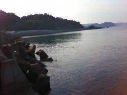 栖原漁港でアジング　サイズは最大20㎝