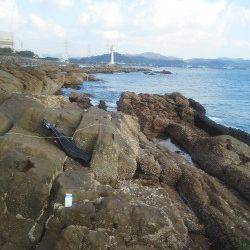 渡船を利用してのフカセ釣り、潮の動いている間は良くつれました