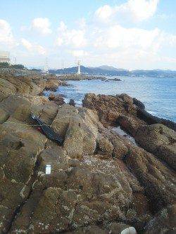 渡船を利用してのフカセ釣り、潮の動いている間は良くつれました