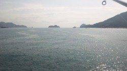 太地港でエギング　赤系エギのみに反応