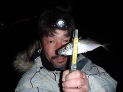 アジング８投で６匹♪　サイズはレギュラー1…