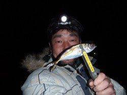 数釣りポイントへランガン！　淀川河口周辺アジング