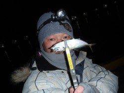 爆風の激渋アジングで何とか１匹。。。