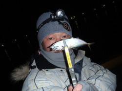 爆風の激渋アジングで何とか１匹。。。