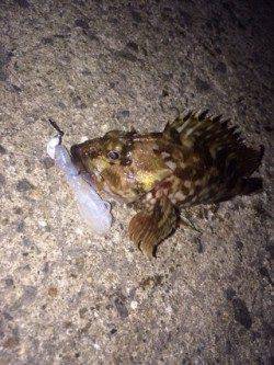 スリーパーでボトムを攻めるガシリング!