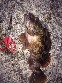 スリーパーでボトムを攻めるガシリング!