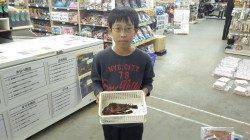 天神崎でガシラ、お子様のフカセ釣り釣果