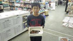 天神崎でガシラ、お子様のフカセ釣り釣果