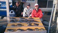 小イナヤでのフカセ釣り　良型グレの釣果