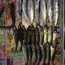 兵突で飛ばしサビキ、アジとマイワシ釣れました♪