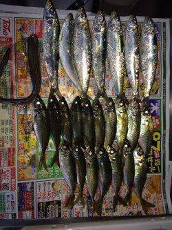 兵突で飛ばしサビキ、アジとマイワシ釣れました♪