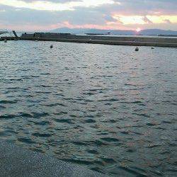 須磨　ズボ釣りで楽しむ根魚釣行