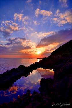 食べて美味しい釣って楽しい！アジング【たかぼ氏連載記事No.05】