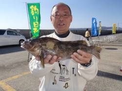 平磯海づり公園ででっかいアイナメ！シラサを…