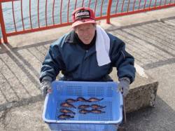 平磯海づり公園で胴突釣り　ガシラ11尾