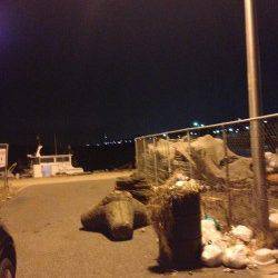 メバル狙いで泉南周辺ランガン～鳥取漁港でガシラ