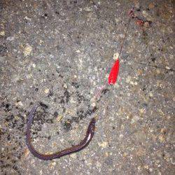 兵突でガシラゲット、投げ竿にはアナゴが！