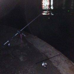 穴子天丼食べたくなったので食コンへ！