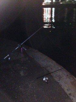 穴子天丼食べたくなったので食コンへ！