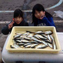 マリーナシティ海釣り公園　サビキでアジの釣果あり