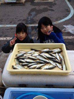 マリーナシティ海釣り公園　サビキでアジの釣果あり