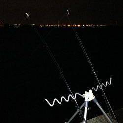 太刀魚＆流行りのアナゴ狙いで西宮浜に釣行