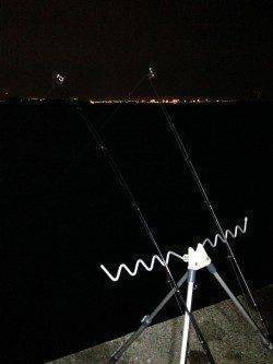 太刀魚＆流行りのアナゴ狙いで西宮浜に釣行