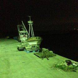 前日に引き続き鳥取ノ荘にメバル調査へ