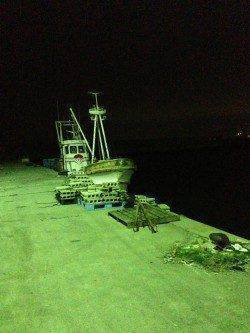 前日に引き続き鳥取ノ荘にメバル調査へ