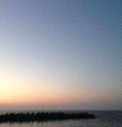 せんなん里海公園でルアーゲーム、メバルが釣れました♪