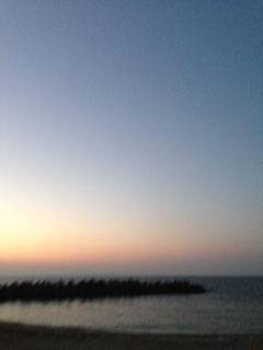 せんなん里海公園でルアーゲーム、メバルが釣れました♪