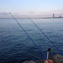 朝マヅメ狙いの短時間投げ釣り　樽井漁港でキス