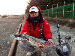 助松埠頭、ワインドで85cmのサワラがHIT！