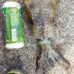 日本海エギングシーズン末期に頑張ってみました