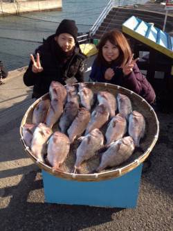 マリーナシティ海洋釣り堀　マダイの他ブリ、…