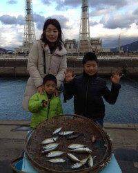 クリスマスイヴのマリーナシティ海釣り公園、サビキ釣果