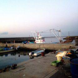 アジング&サビキでアジ、お子様に待望のメバルの釣果も♪