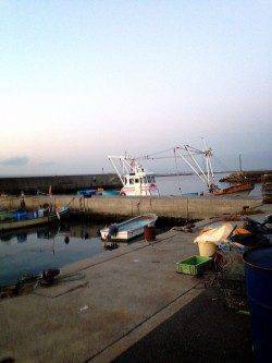 アジング&サビキでアジ、お子様に待望のメバルの釣果も♪