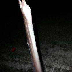 須磨にカレイ釣りで出撃、満潮の8時前後にヒット！