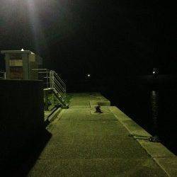 衣奈漁港でのアジング釣果