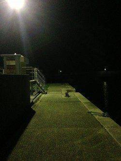 衣奈漁港でのアジング釣果