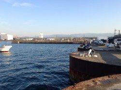 食コンでサビキ釣り　まだまだ楽しめます！