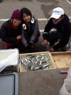 マリーナシティ海釣り公園　サビキでアジの釣果あり