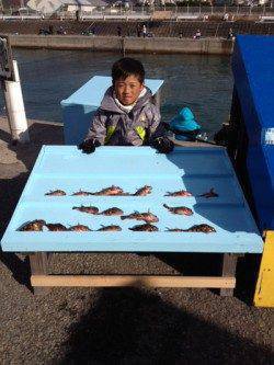 マリーナシティ海釣り公園　突堤部でガシラの釣果