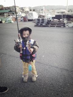 アジング&サビキでアジ、お子様に待…