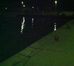 小浜のアオリイカ　ロングステイでようやくヒット