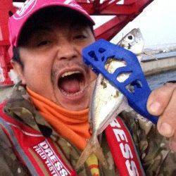 アジ活性低下ぎみ？大阪南港アジング釣果