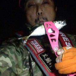 大阪南港でのアジング、5日は渋かった