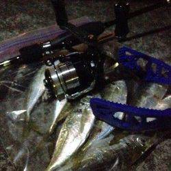 釣りにくい状況の中1時間で13匹！南港アジング釣果